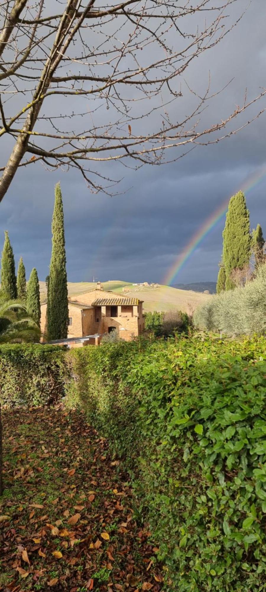 Agriturismo S. Eurosia 몬탈치노 객실 사진